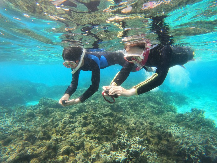 S田さんとH井さんです