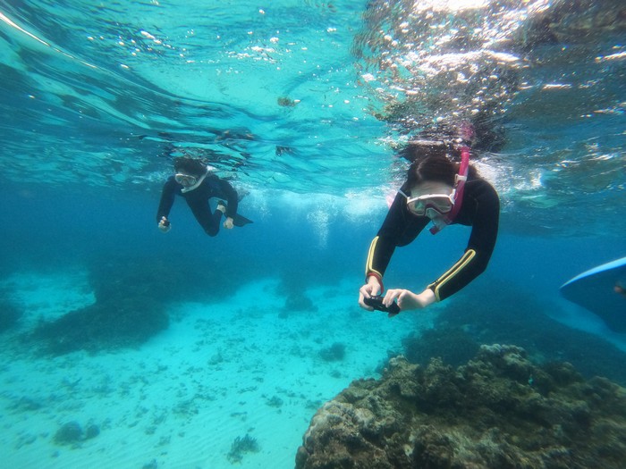 コースを回っていきます