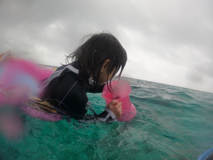 箱メガネに没頭のニコラ君