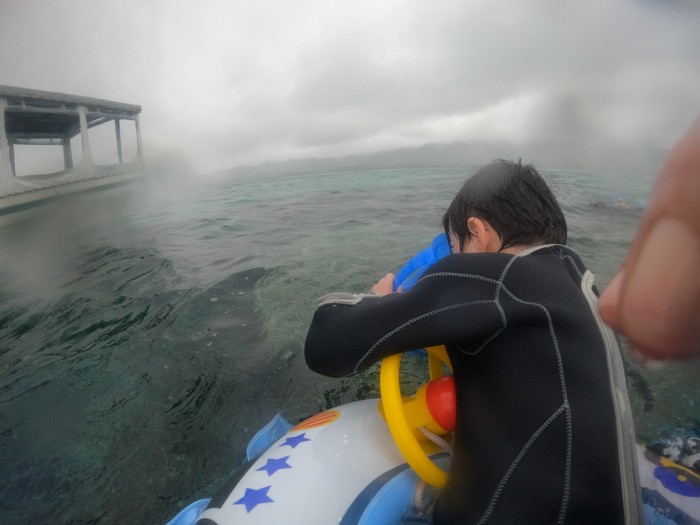 箱メガネを覗き始めました