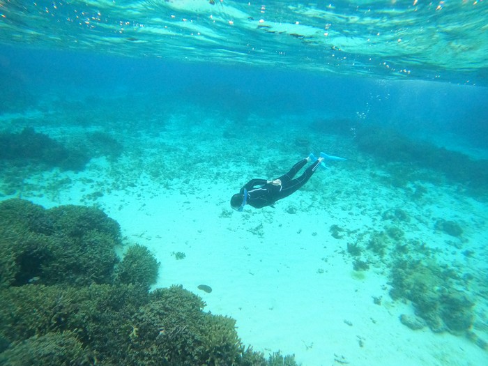 素潜りドボンのお父さん