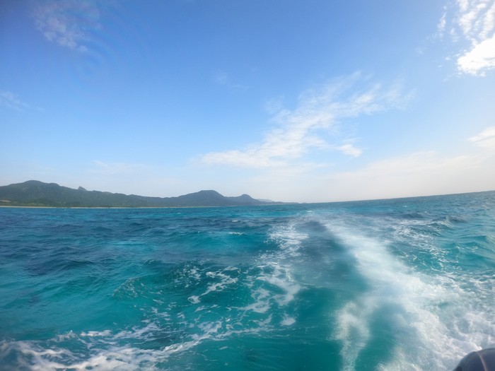 久々の晴れ間の登場です