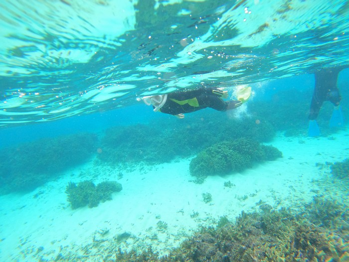 お母さんも楽しんでいます。