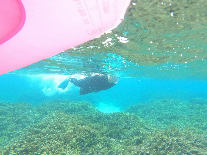 お父さんは変わらず活発です