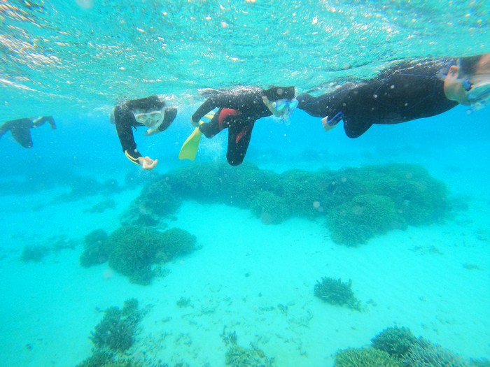透明度抜群の海を満喫です♪