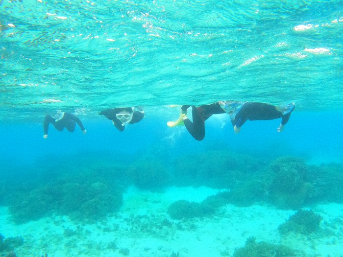 リピーターN田さんご家族です。