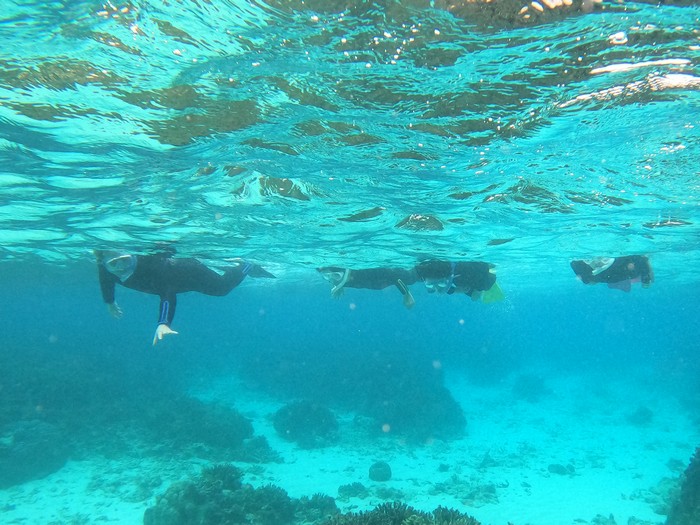 わらわらコースを進み始めていきます。