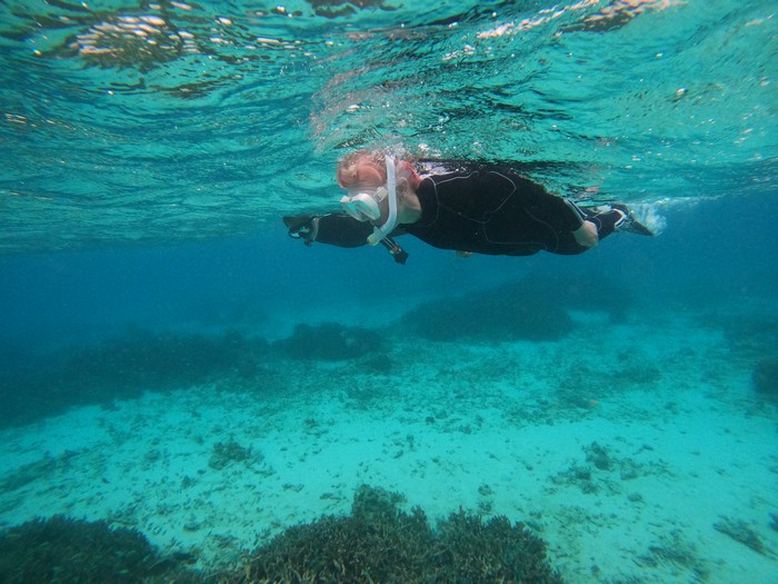 S水さんとHさんです