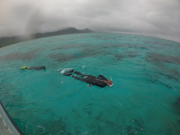 フリータイムを満喫中