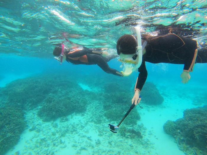 余裕をもって泳ぎ始めています。