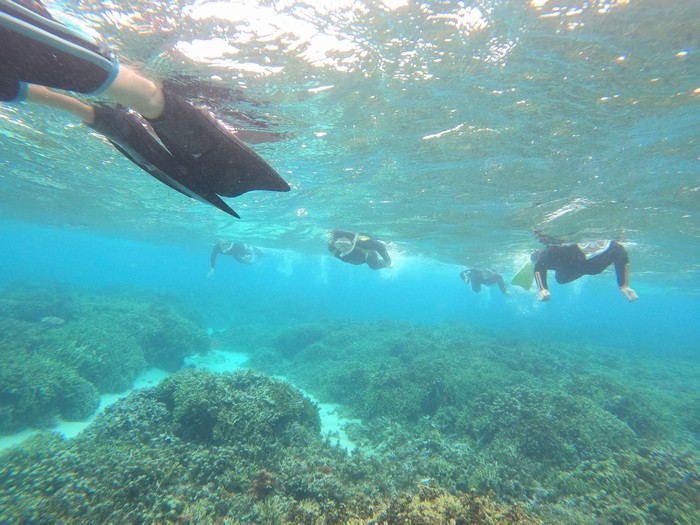 でも慣れてくればサンゴコース