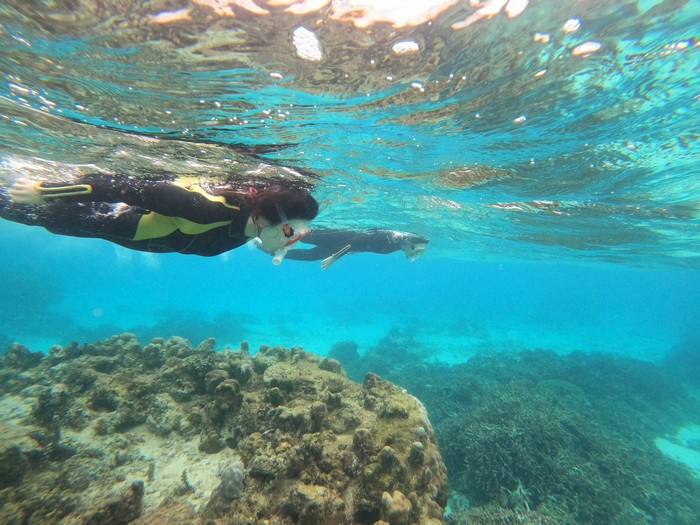 楽しんでいますね!