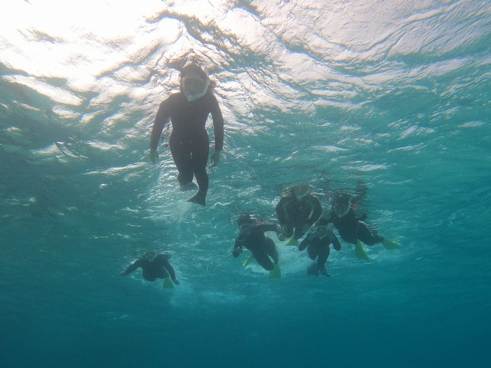 卒業旅行でシュノーケリング