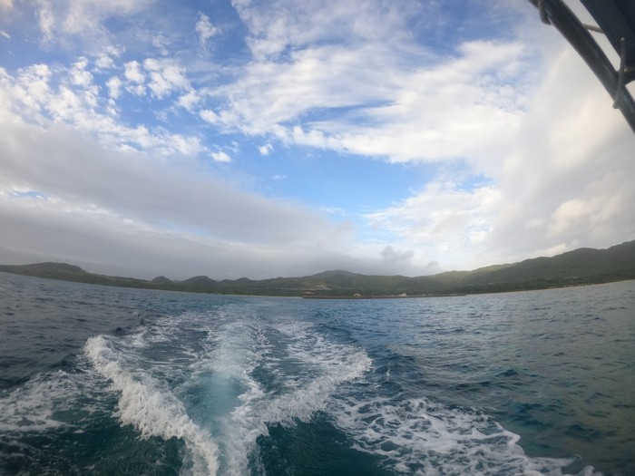 曇ったり晴れたりの一日です。