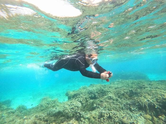 撮影に没頭Y下さん