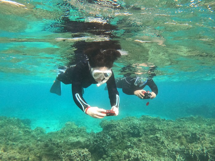 明日は石垣島マラソン出走、Y下さんとＨ井さん