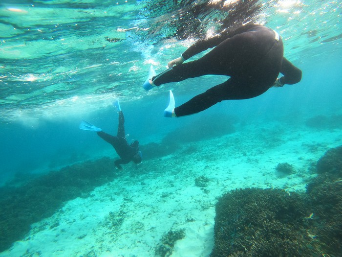 素潜りトライのY下さん