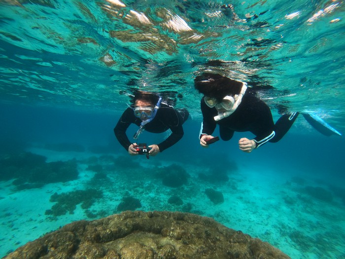 すぐに海に没頭のお二人です。