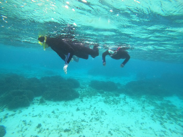 2023年初潜りのMさん