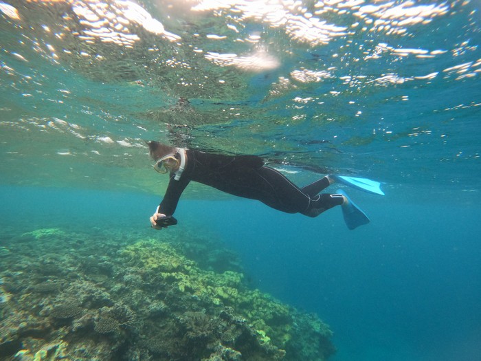 あっちこっちと写真撮影のK野さん