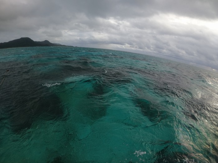 クリアーな海水です