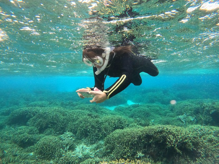 マラソン後はシュノーケル！O根さん
