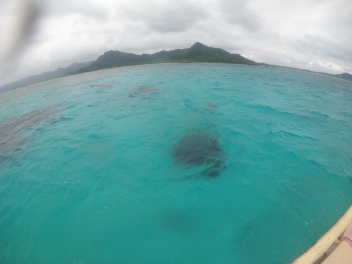 透明度抜群の海!冬の特徴