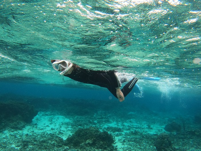 疲れ知らずの連続フィンキック