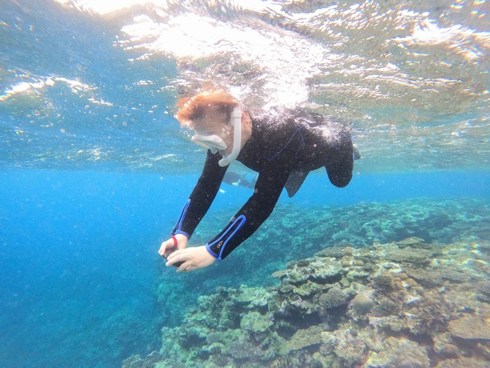 奥さんパラオサンゴにくぎ付け