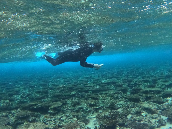 旦那さんも撮影モード