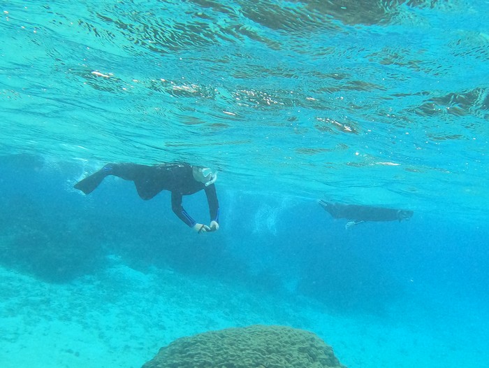 I藤さん軽やかです