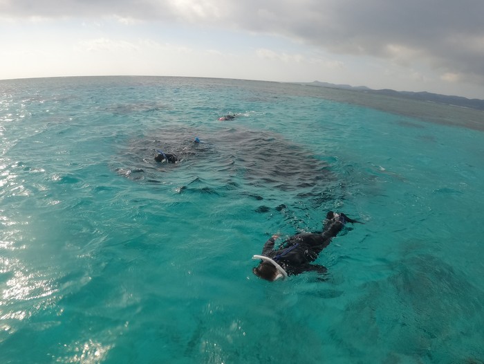 リピーターI藤さん、H津さんとM負さん