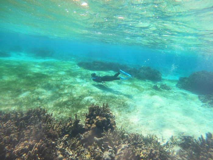 感覚を確かめるように素潜り