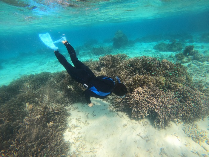 リピーターH田さん