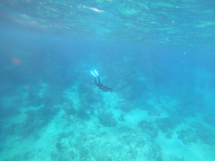 深場でも果敢に挑戦