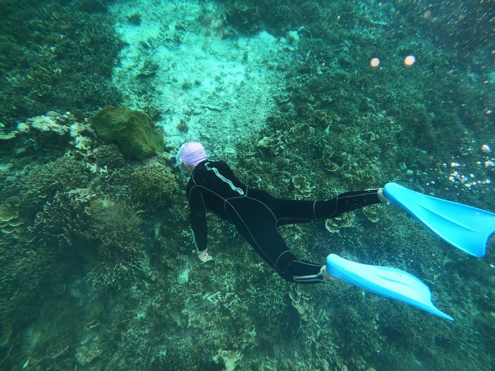 カクレクマノミ目指しスキンダイビング