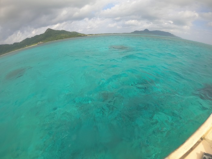 太陽さんも顔出します