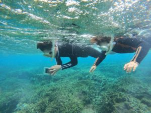 荒波体験ツアーにようこそ！