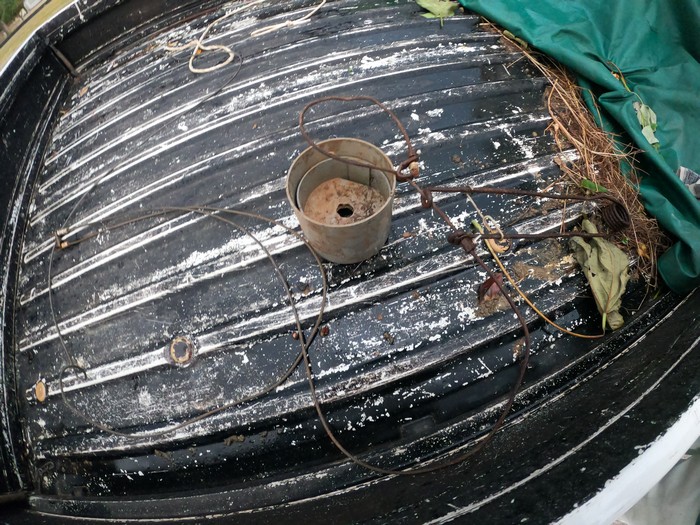 これが噂のイノシシの罠