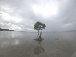 その壁は超えるためにある！冬休みが終われば。。。