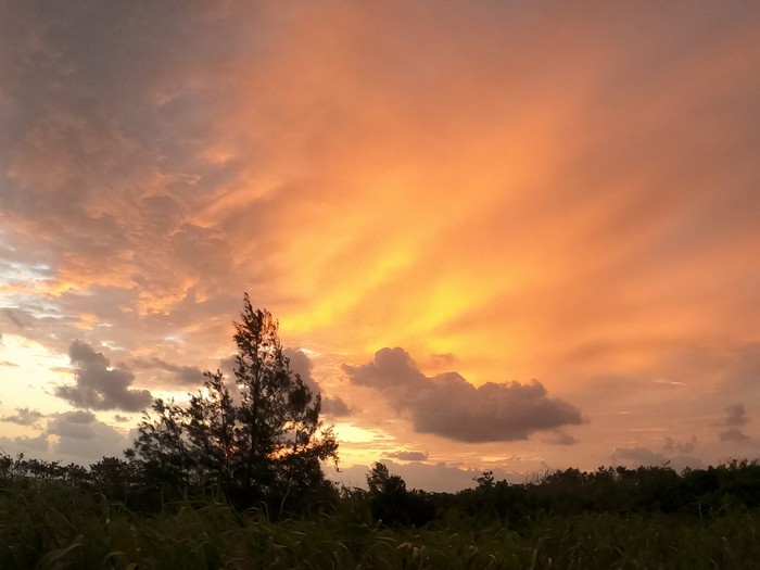 燃え盛るような朝焼け