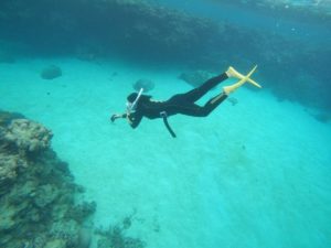 毎年2月は石垣島！その理由は。。。千葉ロッテキャンプ♪