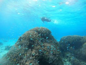 何回潜っても感動！冬の晴れはすべてが感動レベル！