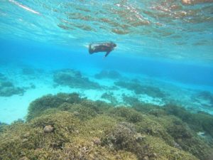 石垣島到着日からアクセル全開シュノーケリング！