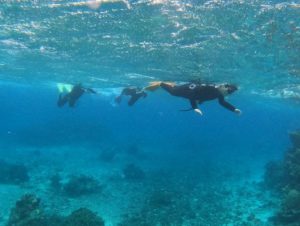 雨、雨、雨でも楽しんだ石垣島シュノーケル！
