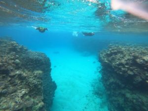 腰痛？五十肩？膝には擦り傷！でも楽しんだ石垣島の海！