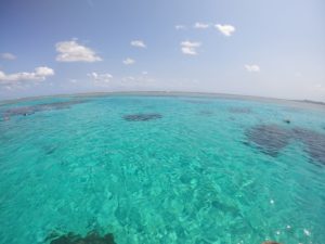 こんな透明度抜群で穏やかな海♪笑顔いっぱいツアー開催中！