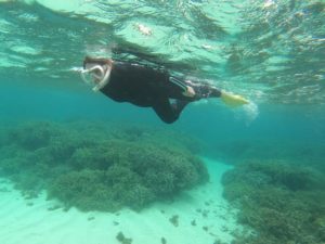 素潜り(スキンダイビング)で石垣島の海を満喫！妊婦さんも楽しみました！