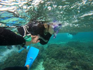 青にしようかな？紫にしようかな？あっ！マスクの色のお話で♪