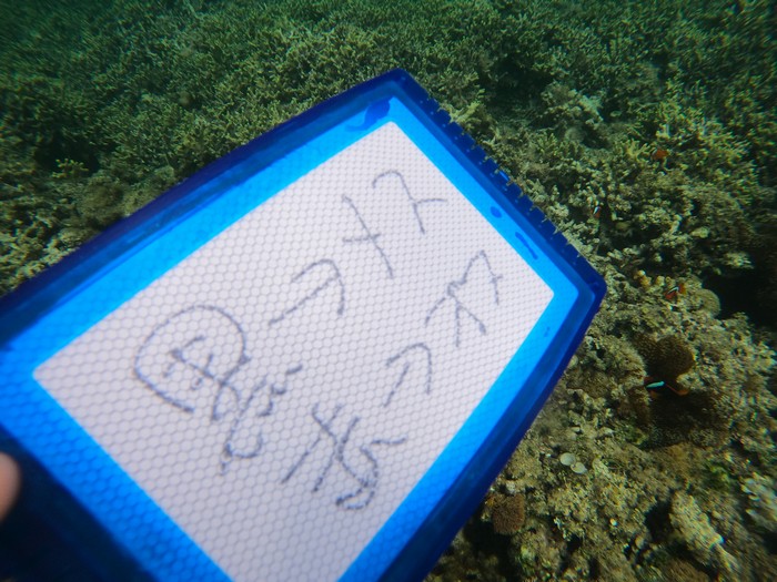 水中ノートの文字